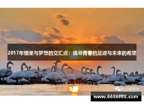 2017年银星与梦想的交汇点：追寻青春的足迹与未来的希望